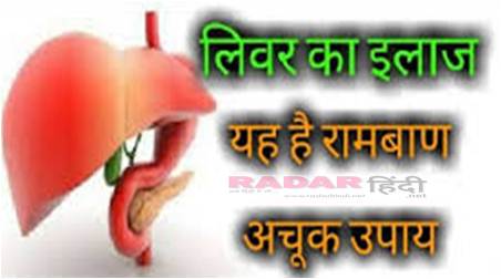 Liver In Hindi